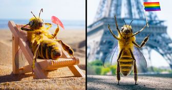 Voici B., une abeille influenceuse qui récolte des fonds grâce à son Instagram pour sauver son espèce