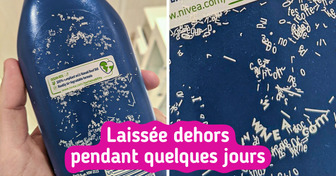 15+ Exemples de choses vraiment inattendues découvertes par des gens lors de leur routine quotidienne