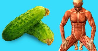 13 Choses qui peuvent se produire dans ton corps si tu commences à manger un cornichon par jour