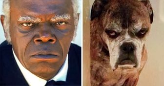 Des internautes combinent des photos de personnes et d’animaux qui leur ressemblent, et le résultat nous fait exploser de rire