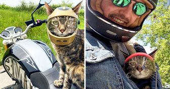 Cette chatte adore se promener et son maître lui a fabriqué un casque pour qu’elle puisse l’accompagner sur sa moto