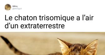 20+ Animaux avec des mutations génétiques qui les rendent encore plus mignons