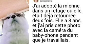 28 Lecteurs de Sympa expliquent pourquoi ils considèrent leurs chats comme leurs enfants