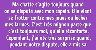 15 Histoires qui prouvent que les animaux sont beaucoup plus intelligents que ce que nous croyons