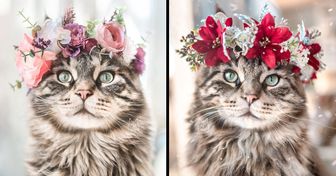 Cette artiste réalise des couronnes de fleurs pour animaux de compagnie, et c’est adorable