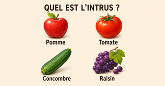 Trouve l’intrus en faisant appel à ta logique