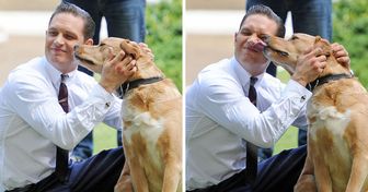 14 Photos pleines de tendresse prouvant que l’amour de Tom Hardy pour les chiens est sans limites