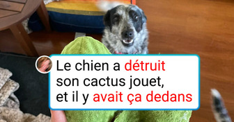 15 Designers dont la créativité est allée bien trop loin