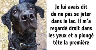 Il est absolument impossible de s’ennuyer avec des animaux turbulents, et ces 15 photos le prouvent !
