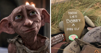 Des fans de Harry Potter font déplacer un câble à 500 millions d’euros pour sauver la “tombe” de Dobby