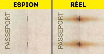 10 caractéristiques des passeports de différents pays (devenir citoyen du monde n’est pas si difficile)