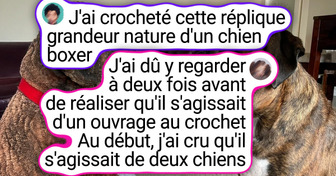 14 Personnes qui ont créé des merveilles avec seulement un crochet et du fil