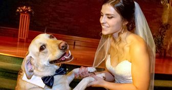 20 Chiens qui ont joué un rôle spécial lors des noces de leurs maîtres