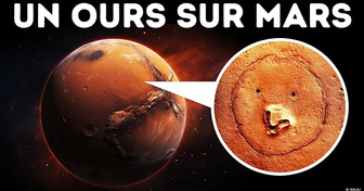 Des Astronomes de la NASA ont Découvert un “Ours” sur Mars