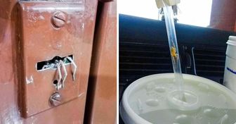 Ces photos effrayantes vont même terrifier les plus grands amateurs de sensations fortes !