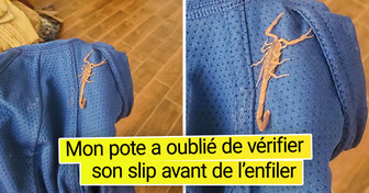 18 Personnes qui ont reçu une blague bien drôle de l’univers