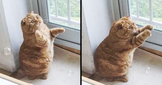 Il n’y a rien de plus mignon. Profites-en !
