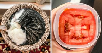 23 Photos d’objets qui se marient parfaitement et qui pourraient satisfaire les plus exigeants d’entre nous