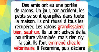 15 Histoires hilarantes que seuls les propriétaires d’animaux comprendront