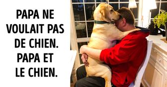 20 Personnes qui ne voulaient pas de “ces animaux chez elles”, et qui maintenant ne peuvent plus s’en passer