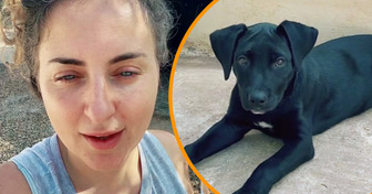 Une femme achète un chien errant pour qu’il ne soit pas maltraité et se fait applaudir sur les réseaux sociaux