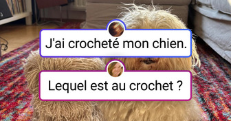 26 Maîtres du crochet qui transforment la laine en véritables merveilles