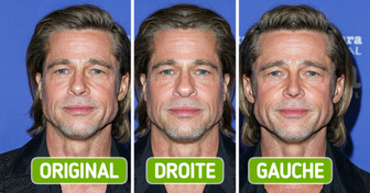 Voici à quoi ressembleraient 12 stars avec un visage parfaitement symétrique