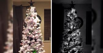 16 personnes qui sont lassées des arbres de Noël classiques, alors ils ont décidé de créer quelque chose de nouveau