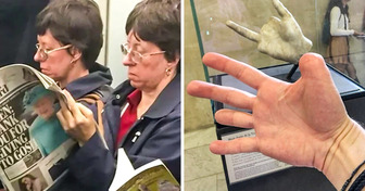 17 Photos de situations improbables qui sont pourtant bien arrivées