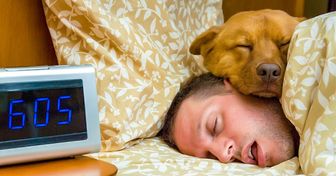 Selon une étude, dormir avec notre animal de compagnie serait bon pour nous, et ça, c’est une nouvelle qui fait plaisir