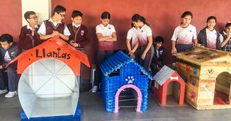 Des enfants mexicains ont construit des niches pour des chiens errants avec des matériaux recyclés, et le monde entier les applaudit