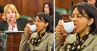 20 Images qui te pousseront à te demander : “mais qu’est-ce qu’il se passe ici ?!”