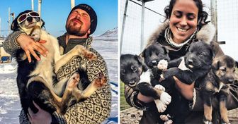 Un jeune couple a tout quitté pour s’installer dans l’Arctique norvégien, et ils vivent aujourd’hui avec 110 chiens