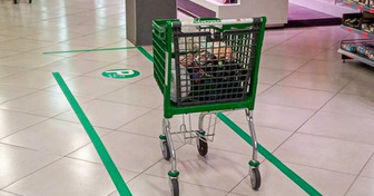 17 Photos prises dans des supermarchés montrant des choses qui ont laissé les clients bouche-bée