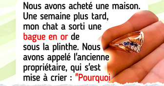 20 Chanceux qui ont découvert des trésors inattendus sous leurs yeux