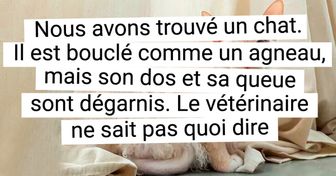 15+ Animaux croisés dont les parents n’avaient rien en commun