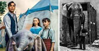 La tragique histoire de Jumbo, l’éléphant qui a inspiré les films de Dumbo