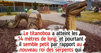 Les scientifiques découvrent un nouveau serpent géant, et il est beaucoup plus grand que nous l’imaginions