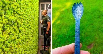 Les utilisateurs d’Internet ont trouvé des choses surprenantes et ils ont décidé de partager leur exaltation avec tout le monde