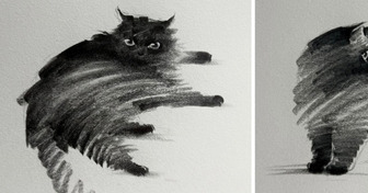 Cet artiste dessine des chats en quelques traits, et pourtant on reconnaît tout de suite leur caractère