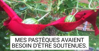 20 Personnes qui savent résoudre des problèmes en abordant les choses sous un angle différent
