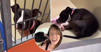 Elle demande au refuge de lui montrer “le chien dont personne ne veut”