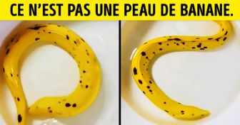 Ces 20 choses ont atteint le niveau maximal dans l’art du camouflage
