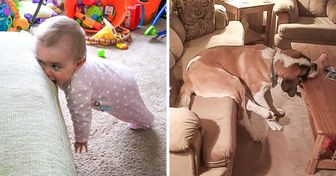 19 photos d’utilisateurs montrant les drôles de similitudes entre avoir un bébé et un chien à la maison