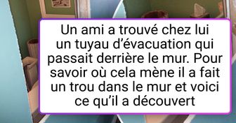 17 Personnes qui ont fait des découvertes inédites dans leur logement