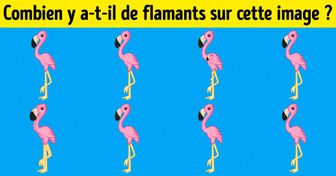 Test : Mets ton sens de l’observation à l’épreuve avec ces 15 images