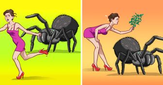9 Méthodes pour éloigner les araignées et les insectes de ta maison