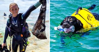 Plus de 600 plongeurs (et quelques chiens) se sont réunis pour nettoyer l’océan et ont réussi à battre un record