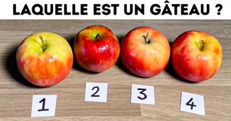 Test : devine quels objets sont en fait des gâteaux déguisés