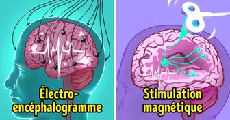 Un groupe de neuroscientifiques a créé la première interface qui transmet des pensées d’un cerveau à un autre